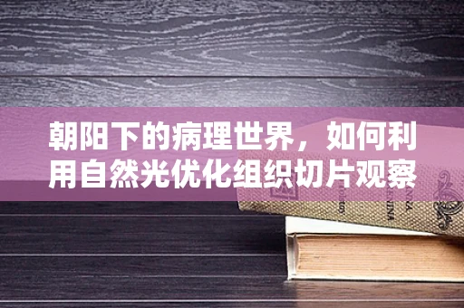 朝阳下的病理世界，如何利用自然光优化组织切片观察？