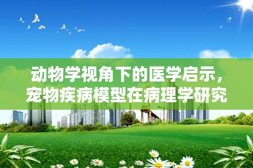 动物学视角下的医学启示，宠物疾病模型在病理学研究中的潜力与挑战