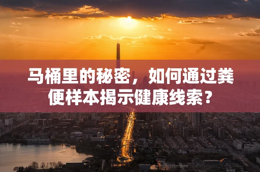 马桶里的秘密，如何通过粪便样本揭示健康线索？