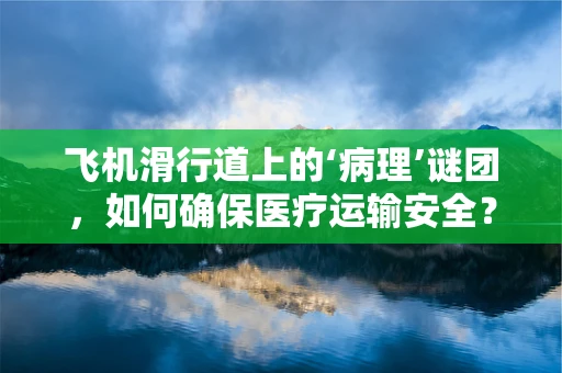 飞机滑行道上的‘病理’谜团，如何确保医疗运输安全？