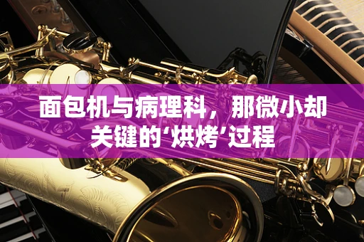 面包机与病理科，那微小却关键的‘烘烤’过程