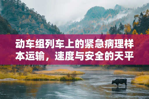 动车组列车上的紧急病理样本运输，速度与安全的天平？