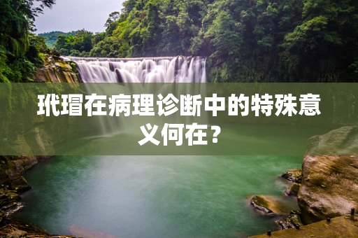 玳瑁在病理诊断中的特殊意义何在？
