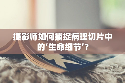 摄影师如何捕捉病理切片中的‘生命细节’？