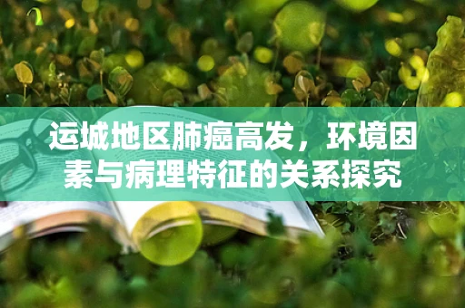 运城地区肺癌高发，环境因素与病理特征的关系探究