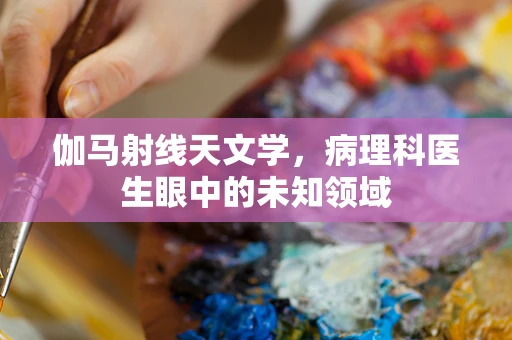 伽马射线天文学，病理科医生眼中的未知领域
