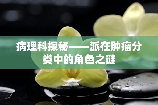 病理科探秘——派在肿瘤分类中的角色之谜