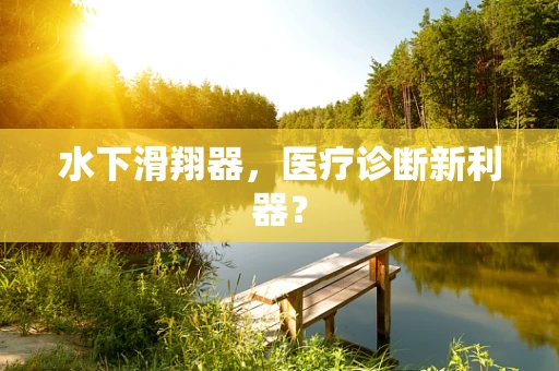 水下滑翔器，医疗诊断新利器？