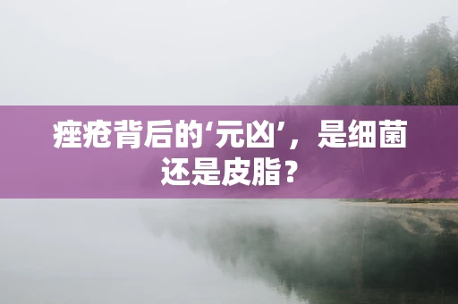 痤疮背后的‘元凶’，是细菌还是皮脂？