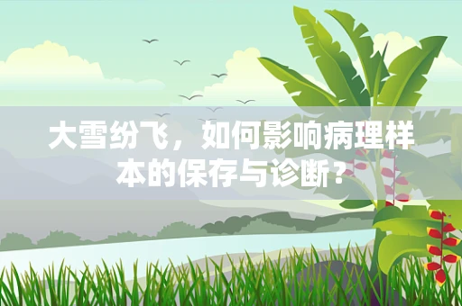 大雪纷飞，如何影响病理样本的保存与诊断？