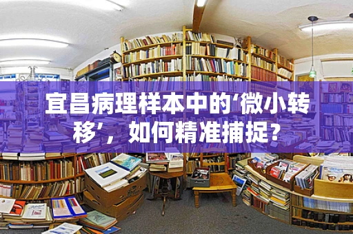 宜昌病理样本中的‘微小转移’，如何精准捕捉？
