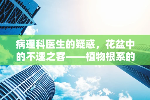 病理科医生的疑惑，花盆中的不速之客——植物根系的异常生长如何影响土壤健康？
