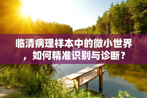 临清病理样本中的微小世界，如何精准识别与诊断？