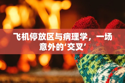 飞机停放区与病理学，一场意外的‘交叉’