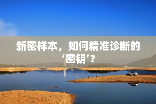 新密样本，如何精准诊断的‘密钥’？