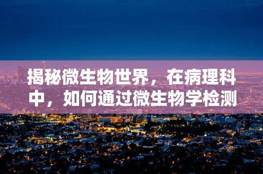 揭秘微生物世界，在病理科中，如何通过微生物学检测识别感染源？
