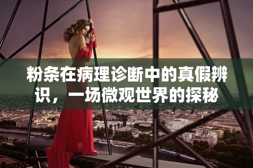 粉条在病理诊断中的真假辨识，一场微观世界的探秘