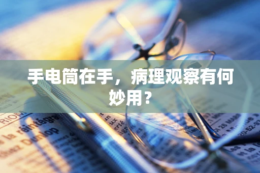 手电筒在手，病理观察有何妙用？
