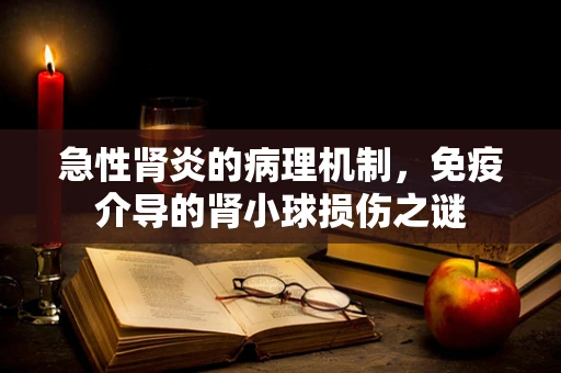 急性肾炎的病理机制，免疫介导的肾小球损伤之谜