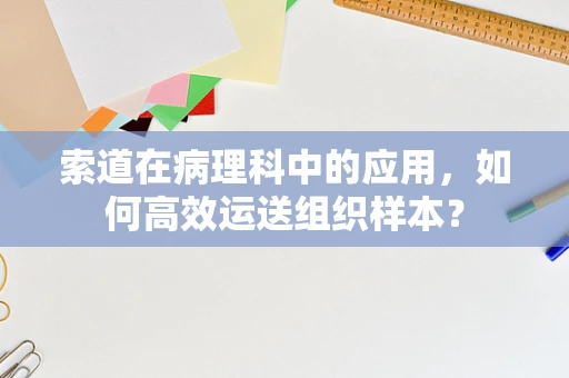 索道在病理科中的应用，如何高效运送组织样本？