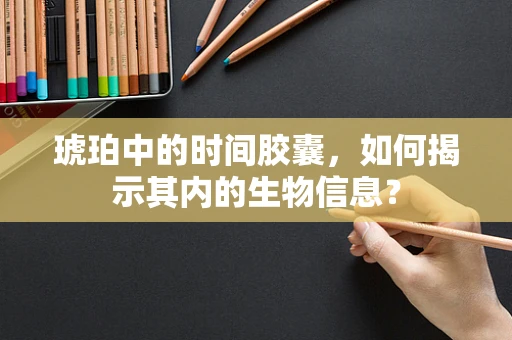 琥珀中的时间胶囊，如何揭示其内的生物信息？