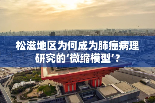 松滋地区为何成为肺癌病理研究的‘微缩模型’？