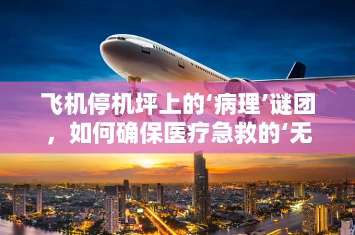 飞机停机坪上的‘病理’谜团，如何确保医疗急救的‘无瑕’降落？