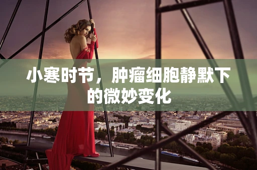 小寒时节，肿瘤细胞静默下的微妙变化