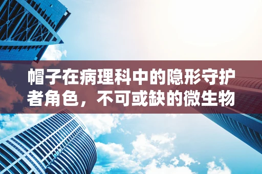 帽子在病理科中的隐形守护者角色，不可或缺的微生物防护