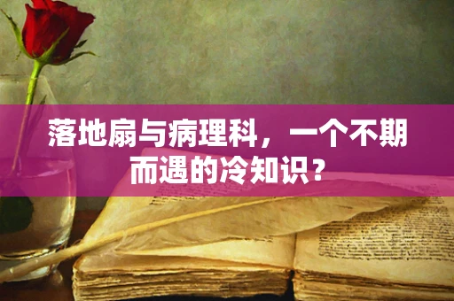 落地扇与病理科，一个不期而遇的冷知识？