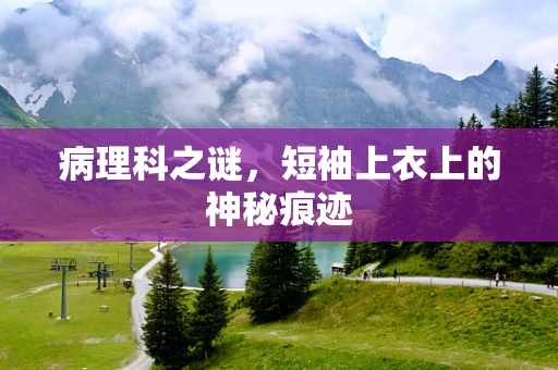 病理科之谜，短袖上衣上的神秘痕迹