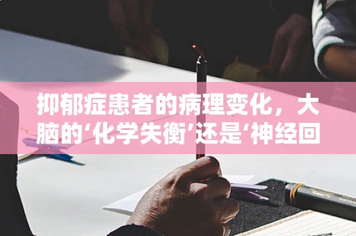 抑郁症患者的病理变化，大脑的‘化学失衡’还是‘神经回路异常’？
