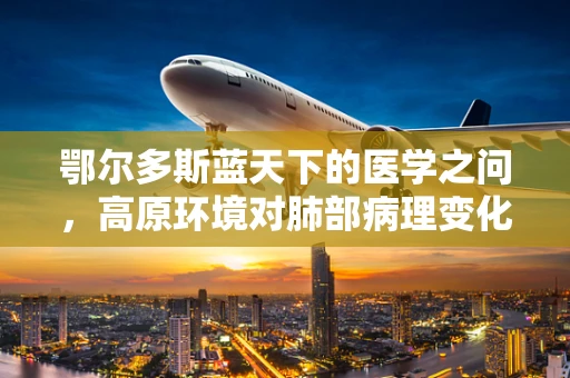 鄂尔多斯蓝天下的医学之问，高原环境对肺部病理变化的影响