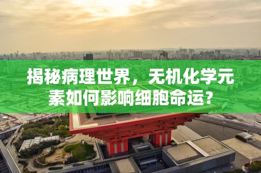 揭秘病理世界，无机化学元素如何影响细胞命运？