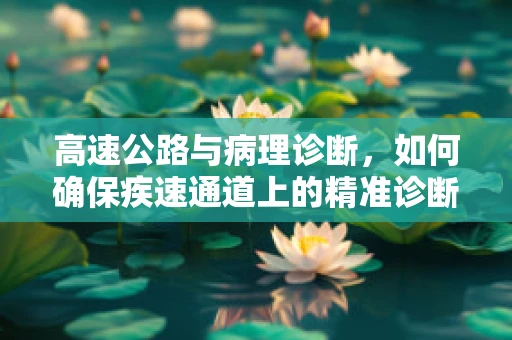 高速公路与病理诊断，如何确保疾速通道上的精准诊断？