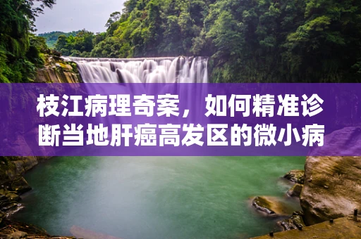 枝江病理奇案，如何精准诊断当地肝癌高发区的微小病变？