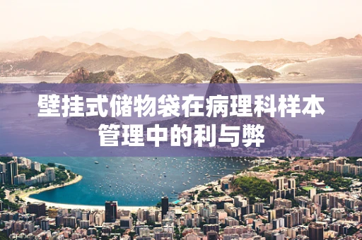 壁挂式储物袋在病理科样本管理中的利与弊
