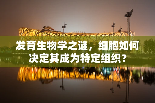 发育生物学之谜，细胞如何决定其成为特定组织？