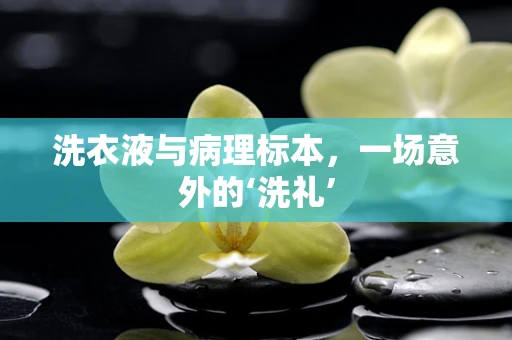洗衣液与病理标本，一场意外的‘洗礼’