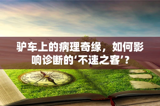 驴车上的病理奇缘，如何影响诊断的‘不速之客’？
