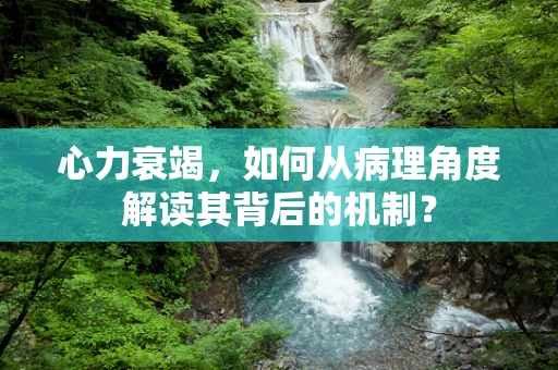心力衰竭，如何从病理角度解读其背后的机制？