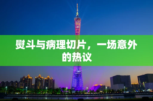 熨斗与病理切片，一场意外的热议