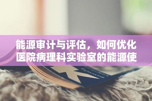 能源审计与评估，如何优化医院病理科实验室的能源使用？