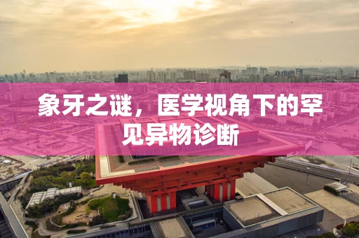 象牙之谜，医学视角下的罕见异物诊断