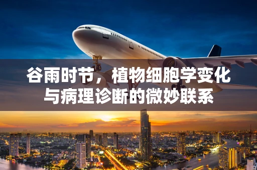 谷雨时节，植物细胞学变化与病理诊断的微妙联系