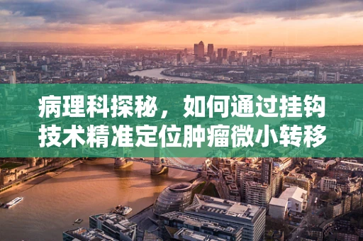 病理科探秘，如何通过挂钩技术精准定位肿瘤微小转移？