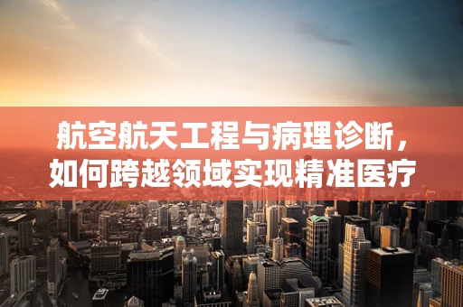 航空航天工程与病理诊断，如何跨越领域实现精准医疗？