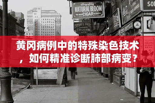 黄冈病例中的特殊染色技术，如何精准诊断肺部病变？