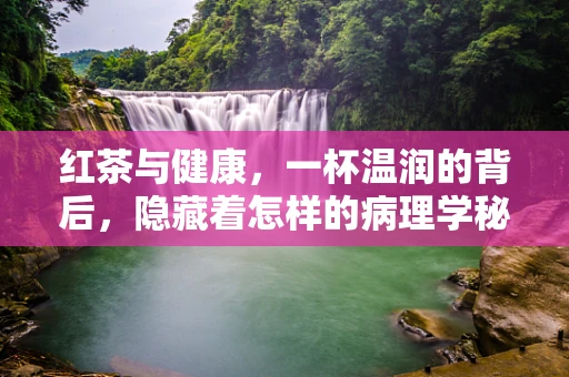 红茶与健康，一杯温润的背后，隐藏着怎样的病理学秘密？