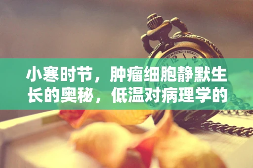 小寒时节，肿瘤细胞静默生长的奥秘，低温对病理学的影响